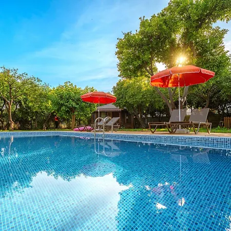 Mandarin Apartament