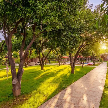 Mandarin Apartamento