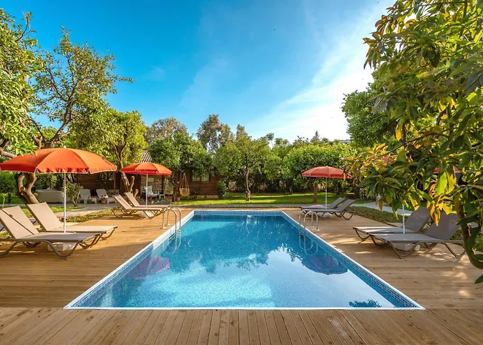 Mandarin Daire Alanya